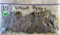 Bag of (101) 1950- 1955 Wheat Pennies