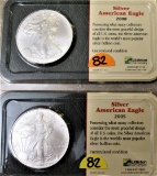 2005 and 2008 Silver American Eagles