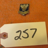 USAAF WW2 Technical Training Command Pin