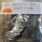 (20) Buffalo Nickels all Very Fine