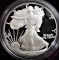 1987 American Eagle 1oz Silver Proof Bullion Coin