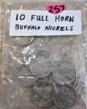 10 Full Horn Buffalo Nickels