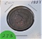 1937 Large Cent Gull