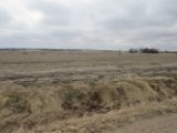 160 acres of Pivot Irrigated Polk Co Farmground