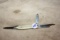 F knife 3 blade Northrup king seeds cubmaster NY