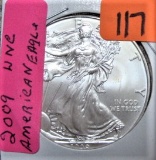 2009 Silver Eagle