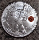 2005 American Silver Eagle Uncirculated