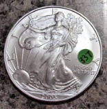 2005 American Silver Eagle Uncirculated