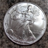 2005 American Silver Eagle Uncirculated