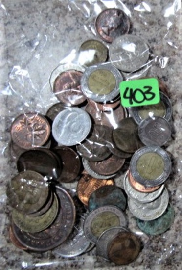 (50) Foreign Coins