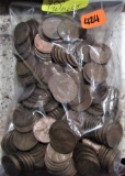 200 Wheat Cents