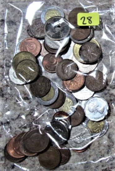 Bag of Foreign Coins