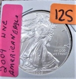 2009 Silver American Eagle