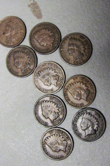 9 1883-1899 Indian Head Cents