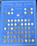 Indian Head Collection 1856-1909