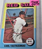 Carl Yastrzemski