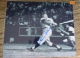 Killebrew Signed Photo