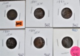 (6) Indian Head Cents