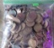 300 Wheat Cents