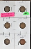 (6) Indian Head Cents
