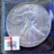 1996 Silver Eagle