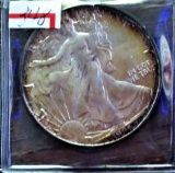 1986 Silver Eagle