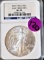 2010 Early Release NGC MS 70