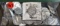 100 Silver Washington Quarters
