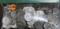 100 Silver Washington Quarters