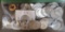 100 Silver Washington Quarters