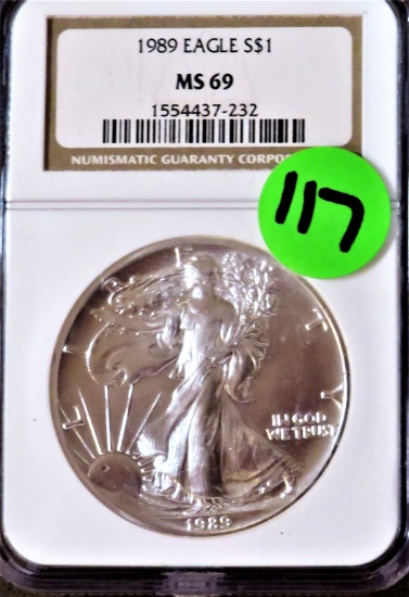 1989 Silver Eagle