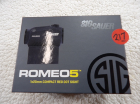 Sig Sauer Romeo5 Red Dot Site & Vortex Cantilever Mount