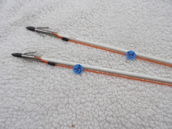 2 Fishing Arrows