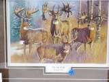 Framed & Matted 