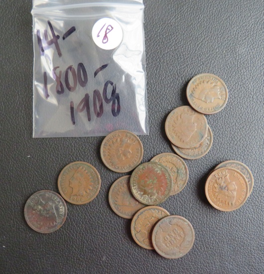 (14) 1800-1908 Indian Head Pennies