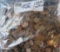 (1500) Wheat Cents