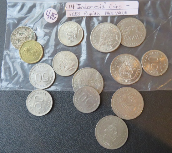 (14) Indonesia Coins