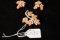 Elegant pin & earring set