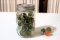28 shooter marbles