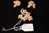 Elegant pin & earring set