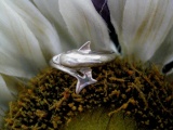 Signed 925 Sterling Dolphin figural Ring size 6