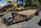 2008 CAM Superline Tandem Axle Equipment Trailer