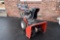 Toro Powermax Snow Thrower HD 826OXE s/n 316007205 w/ Toro 1200 Series Engine