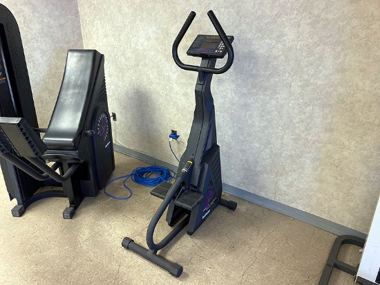 StairMaster FreeClimber 4400PT Stair Step Climber