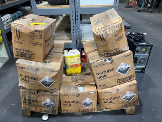 A Group of Sunny Side 4 Gallon Muriatic Acid