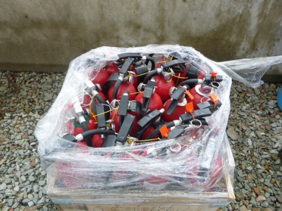 Fire Extinguishers (QEA 3613)