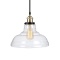 Ascher Industrial Edison Vintage Pendant Light Clear Glass Shade 1-Light Ceiling Light Fixture Antiq