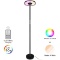 Dimmable LED Torchiere Floor Lamp - 24W, 2500 Lumens - Color Changing Remote Control Reading Floor L