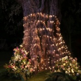 Christmas Tree Lights, LED Net Lights Christmas Tree Decorations 9.8ft x 6.6ft 330 LEDs Mesh Fairy L