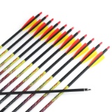 Misayar 12Pcs/lot 30 Inch Carbon Arrows Fletched 3 Inch Vane with Field Points for Recurve Compound